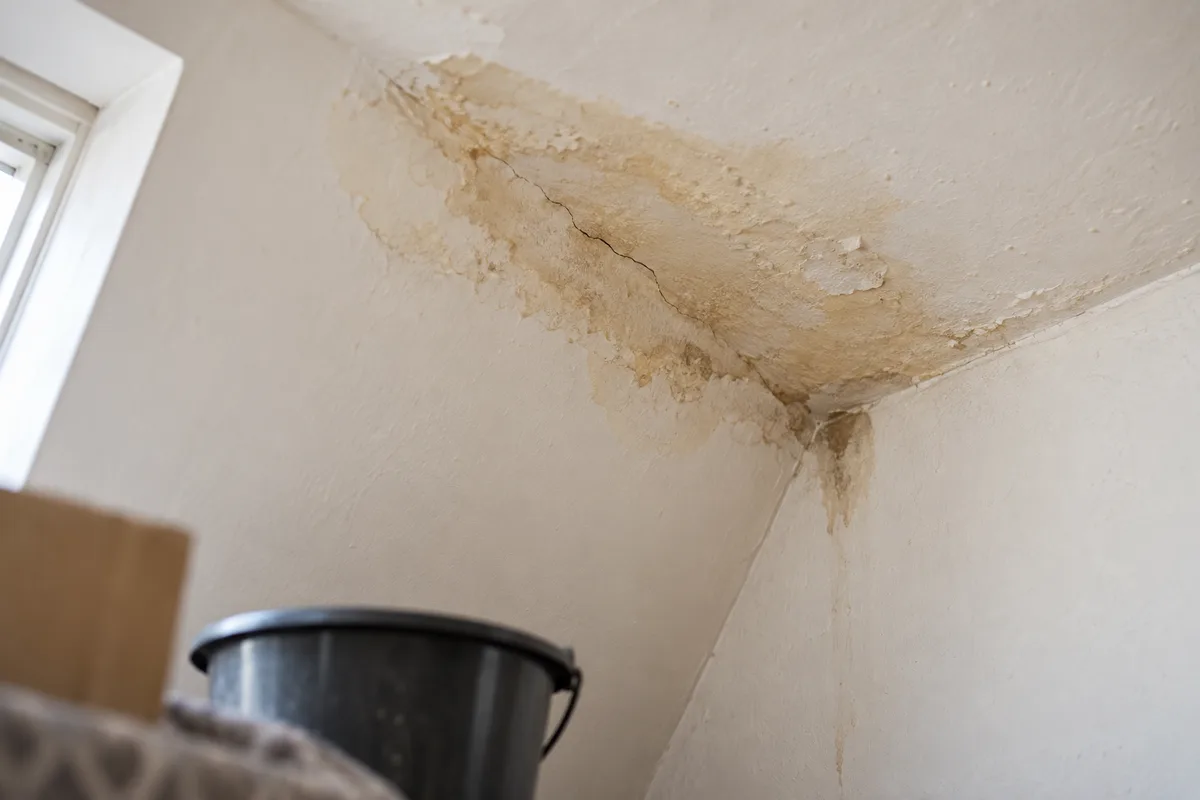 Tache d'humidité au plafond d'un grenier sous une toiture à rénover